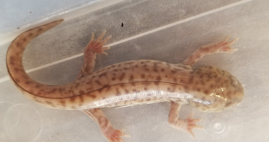 312233295_2946978128938310_7776521644393